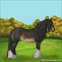 Horse Color:Brown Tobiano Rabicano