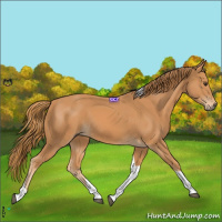 Horse Color:Chestnut Tobiano