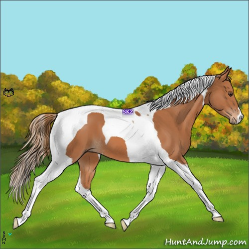 Horse Color:Chestnut Tobiano