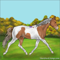 Horse Color:Chestnut Tobiano