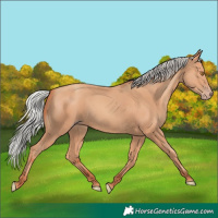 Horse Color:Silver Classic Champagne