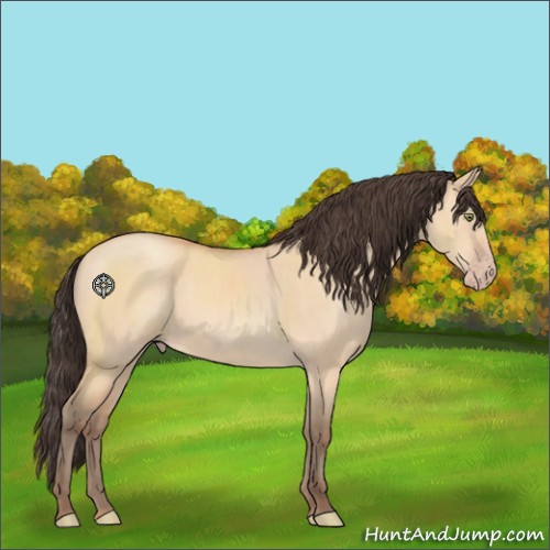 Horse Color:Amber Champagne Dun 