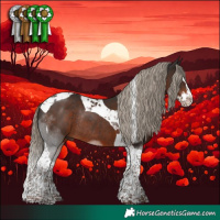 Horse Color:Liver Chestnut Splash Tobiano Rabicano