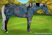 Horse Color:ERROR: UNKNOWN ANOMALY