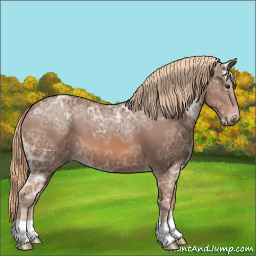 Horse Color:Chestnut Ice 