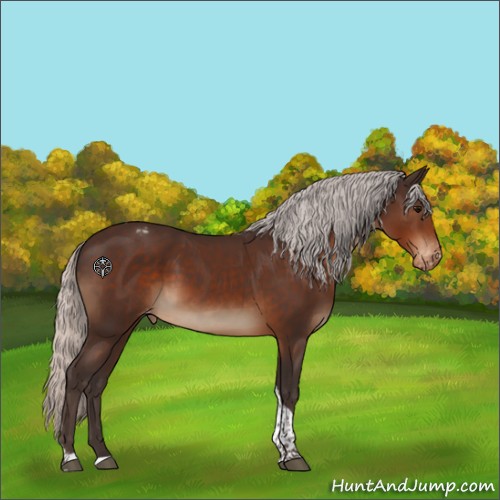 Horse Color:Silver Brown Tobiano Appaloosa 