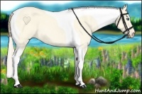 Horse Color:Perlino Dun Tobiano 