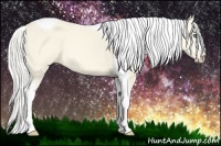 Horse Color:Cremello Dun Tobiano
