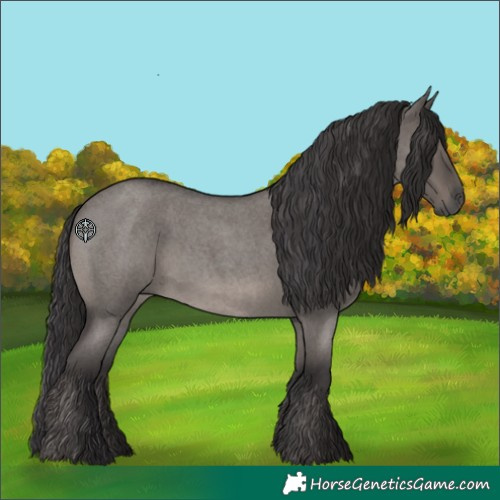 Horse Color:Smoky Grullo Roan 