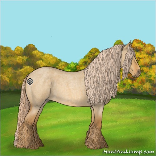 Horse Color:Palomino Roan Dun 