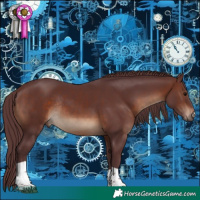 Horse Color:Chocolate Brown Tobiano Rabicano 