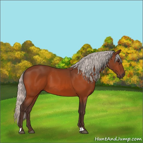 Horse Color:Silver Bay
