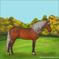 Horse Color:Silver Bay 