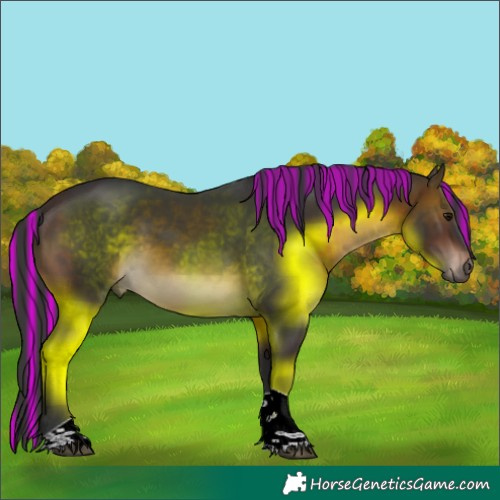 Horse Color:Painted Brown Tobiano Rabicano 