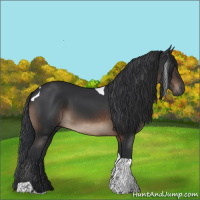 Horse Color:Brown Tobiano Rabicano