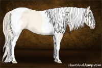 Horse Color:Perlino Dun Tobiano 