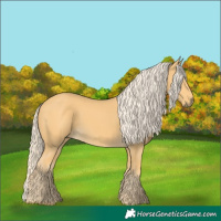 Horse Color:Palomino 