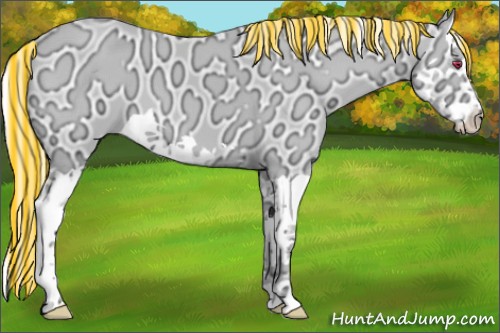 Horse Color:Painted Red Dun Chinchilla Ice Splash 