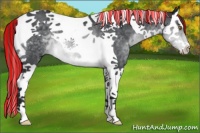 Horse Color:Painted Brown Chinchilla Splash Tobiano