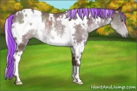 Horse Color:Painted White Spotted Chocolate Silver Black Chinchilla Rabicano 