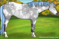 Horse Color:Painted White Spotted Silver Grullo Chinchilla Rabicano 