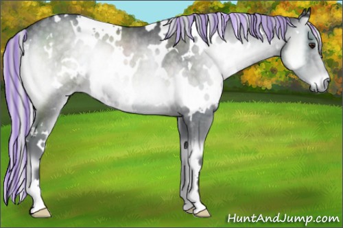 Horse Color:Painted White Spotted Silver Blue Onyx Chinchilla Rabicano