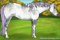 Horse Color:Painted White Spotted Silver Blue Onyx Chinchilla Rabicano 