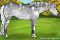 Horse Color:White Spotted Silver Grullo Chinchilla Rabicano 