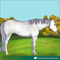 Horse Color:Painted Chocolate Silver Grullo Chinchilla Onyx Splash Rabicano 