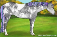 Horse Color:Painted White Spotted Silver Black Chinchilla 