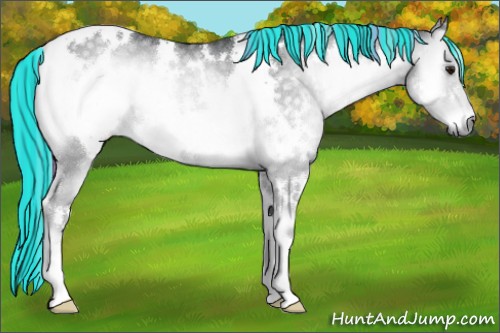 Horse Color:Painted White Spotted Silver Blue Onyx Chinchilla Rabicano 