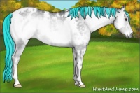 Horse Color:Painted White Spotted Silver Blue Onyx Chinchilla Rabicano 