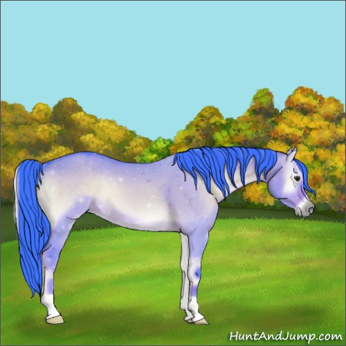Horse Color:Watercolor Liver Red Dun Onyx