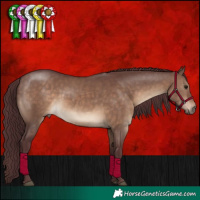 Horse Color:Chocolate Brown Dun 