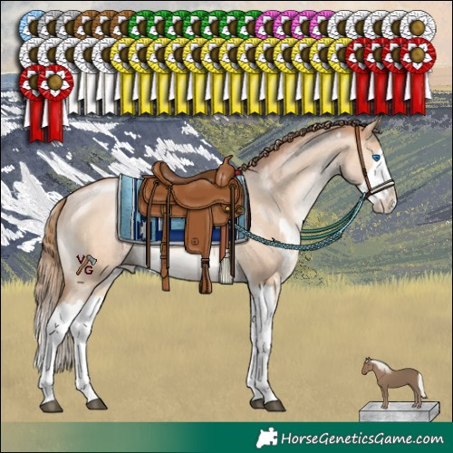 Horse Color:White Spotted Bay Pearl Dun Mushroom Splash