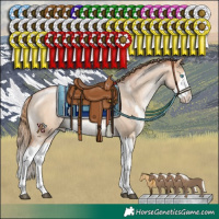 Horse Color:White Spotted Bay Pearl Dun Mushroom Splash