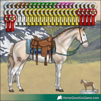 Horse Color:White Spotted Bay Pearl Dun Mushroom Splash 