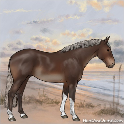 Horse Color:Silver Brown Tobiano Rabicano
