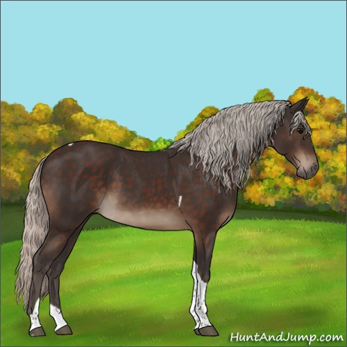 Horse Color:Silver Brown Tobiano Rabicano 
