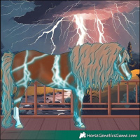 Horse Color:Thunderstruck Chestnut 