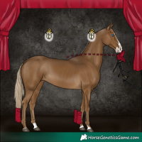 Horse Color:Chocolate Palomino Splash 