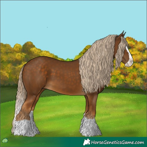 Horse Color:Chocolate Palomino Splash