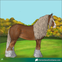 Horse Color:Chocolate Palomino Splash 