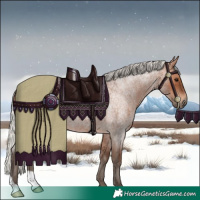 Horse Color:Silver Brown Roan 