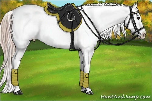 Horse Color:White Spotted Chocolate Palomino Varnish 