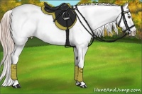Horse Color:White Spotted Chocolate Palomino Varnish 