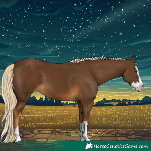 Horse Color:Chocolate Palomino Splash