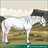 Horse Color:Gray Chocolate Palomino Splash 