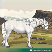 Horse Color:Cremello Sabino and Cremello Sabino