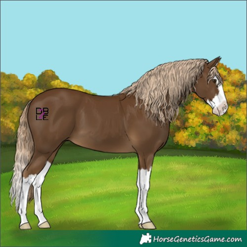 Horse Color:Chocolate Palomino Splash